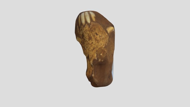 Pig Skull 3D Model