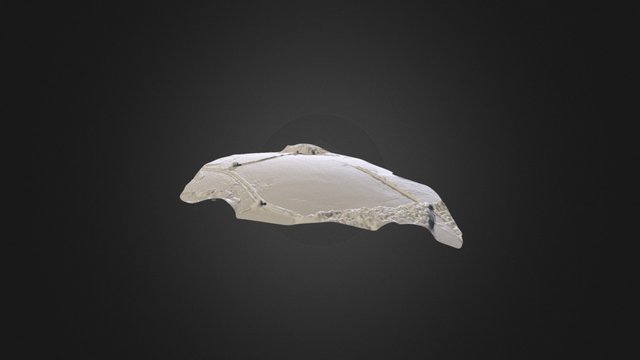 Butleigh Wootton Field 3D Model