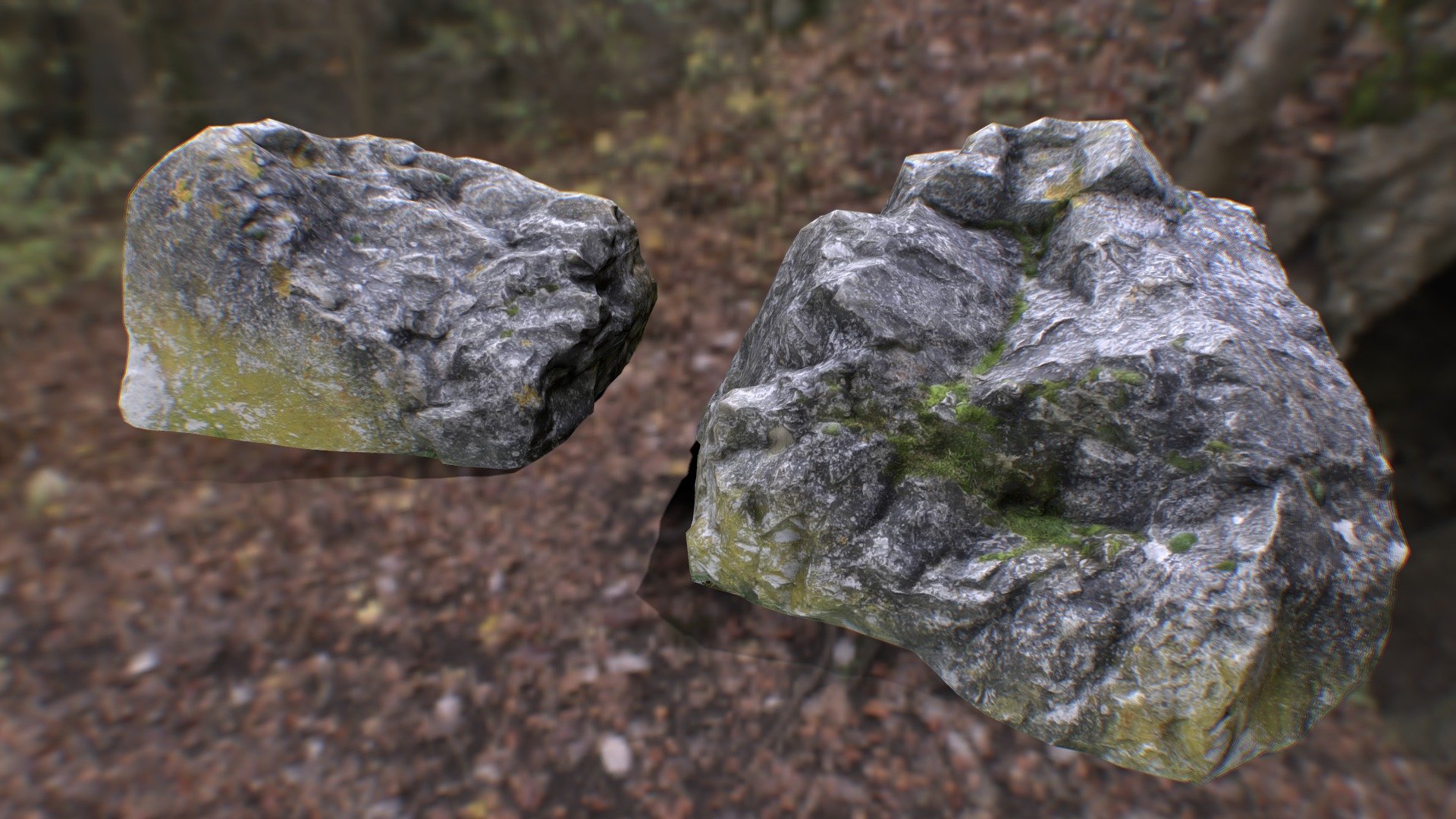 N081j Mossy Rock