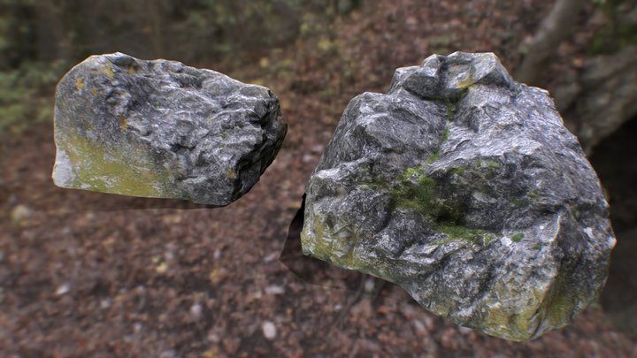 N081j Mossy Rock 3D Model