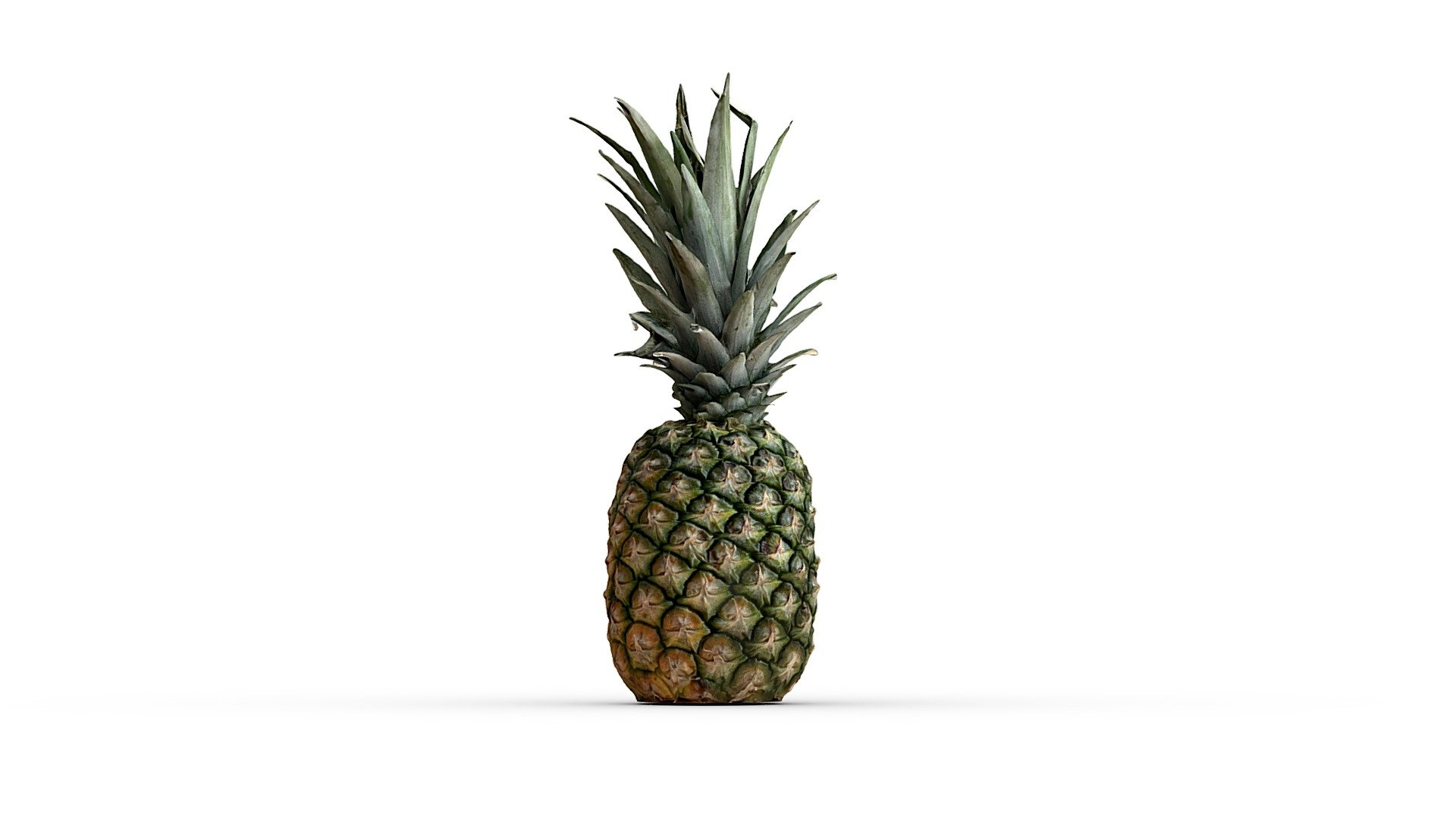 pineapple-download-free-3d-model-by-terrie-simmons-ehrhardt