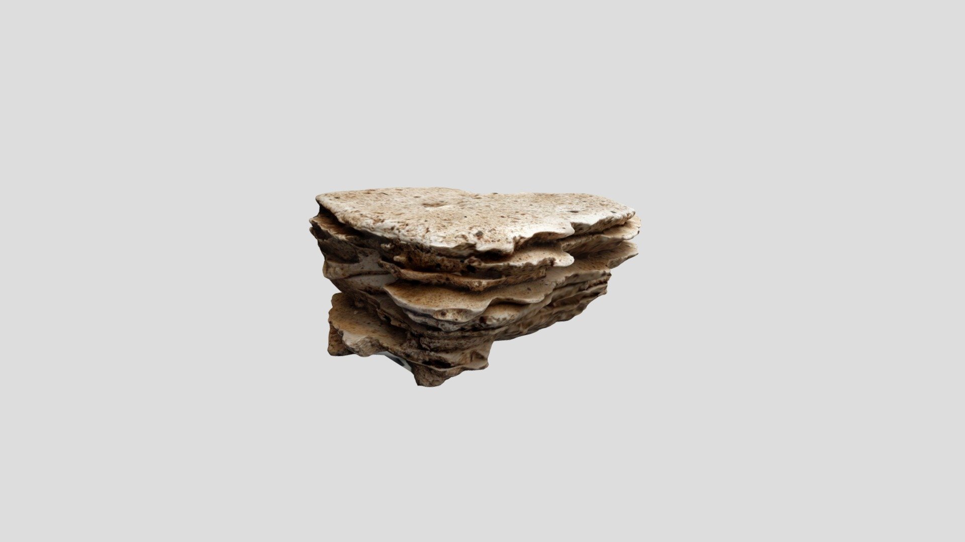 test model concept