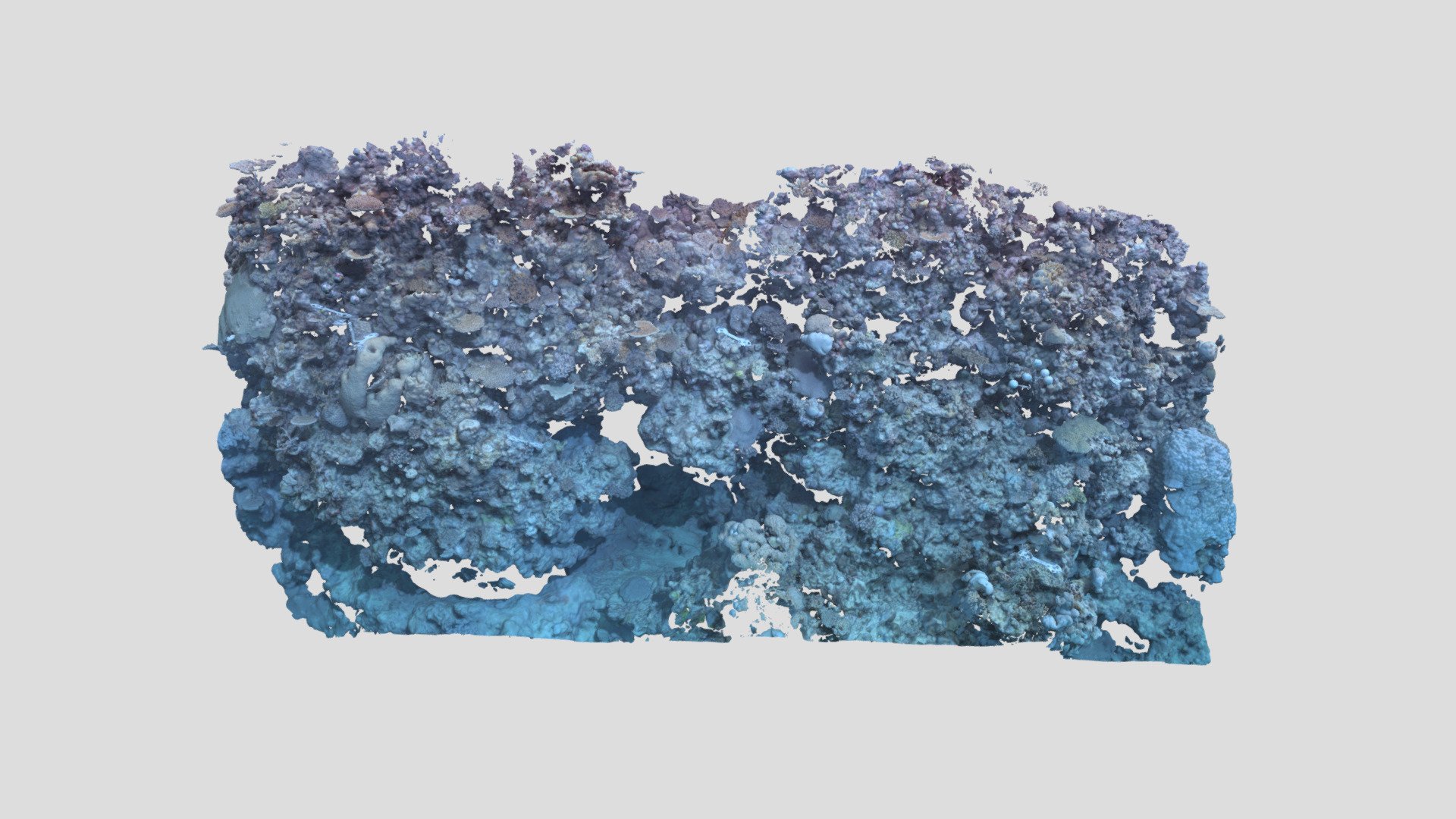 Davies_BA2S_P2_202101 - 3D model by EcoRRAP (@AIMSEcoRRAP) [b4ba45c ...