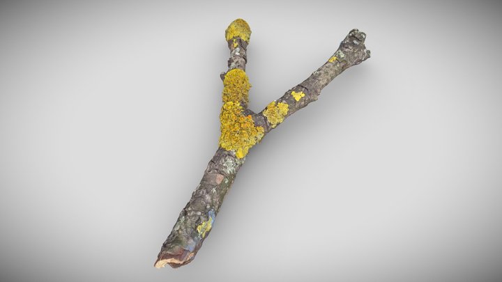 Stick 3D Model