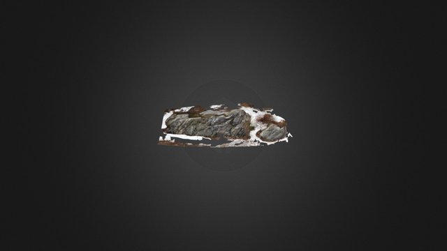 Nashoba Formation 3D Model