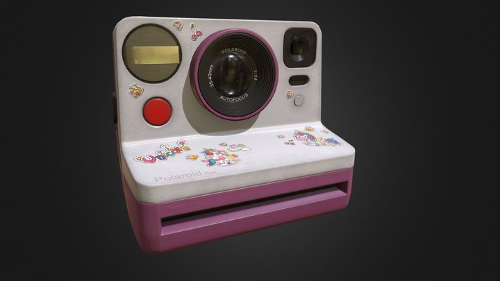 polaroid_Lowpoly 3D Model