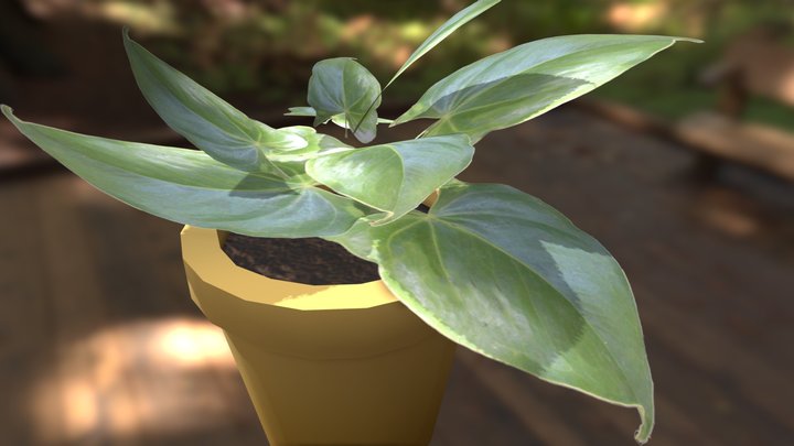 College Project - House Plant 3D Model