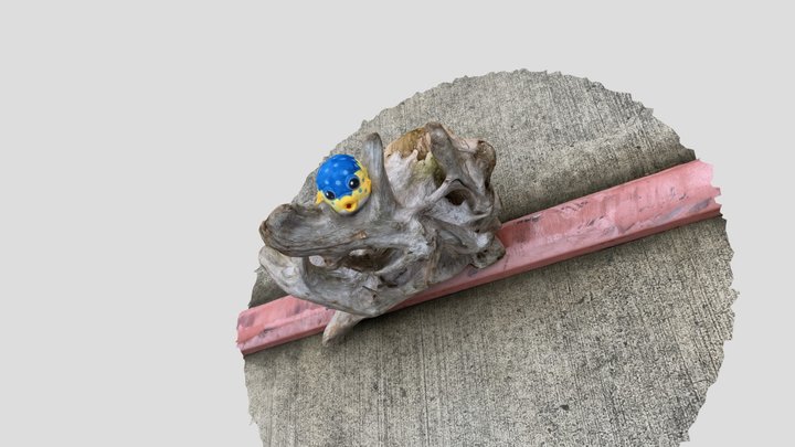 Drift Wood 3D Model