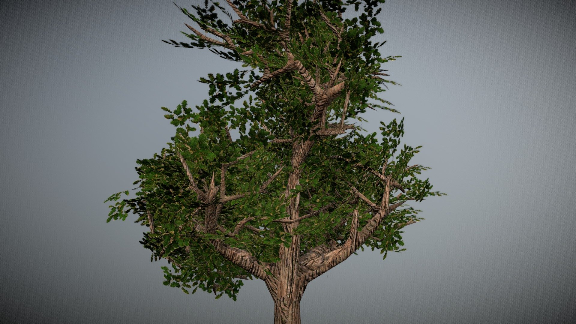 first tree Buy Royalty Free 3D model by v124entkl