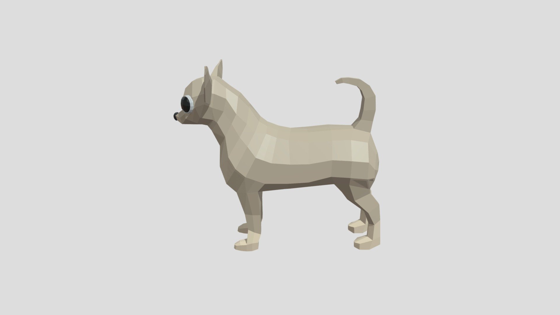Chihuahua