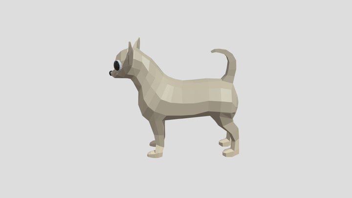 Chihuahua 3D Model
