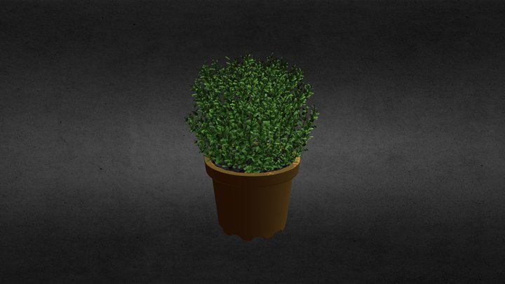 Plant Updates 3D Model