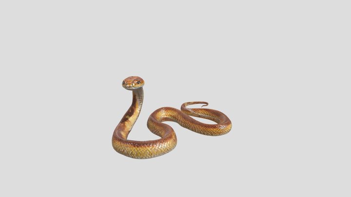 Serpentine Viper Snake