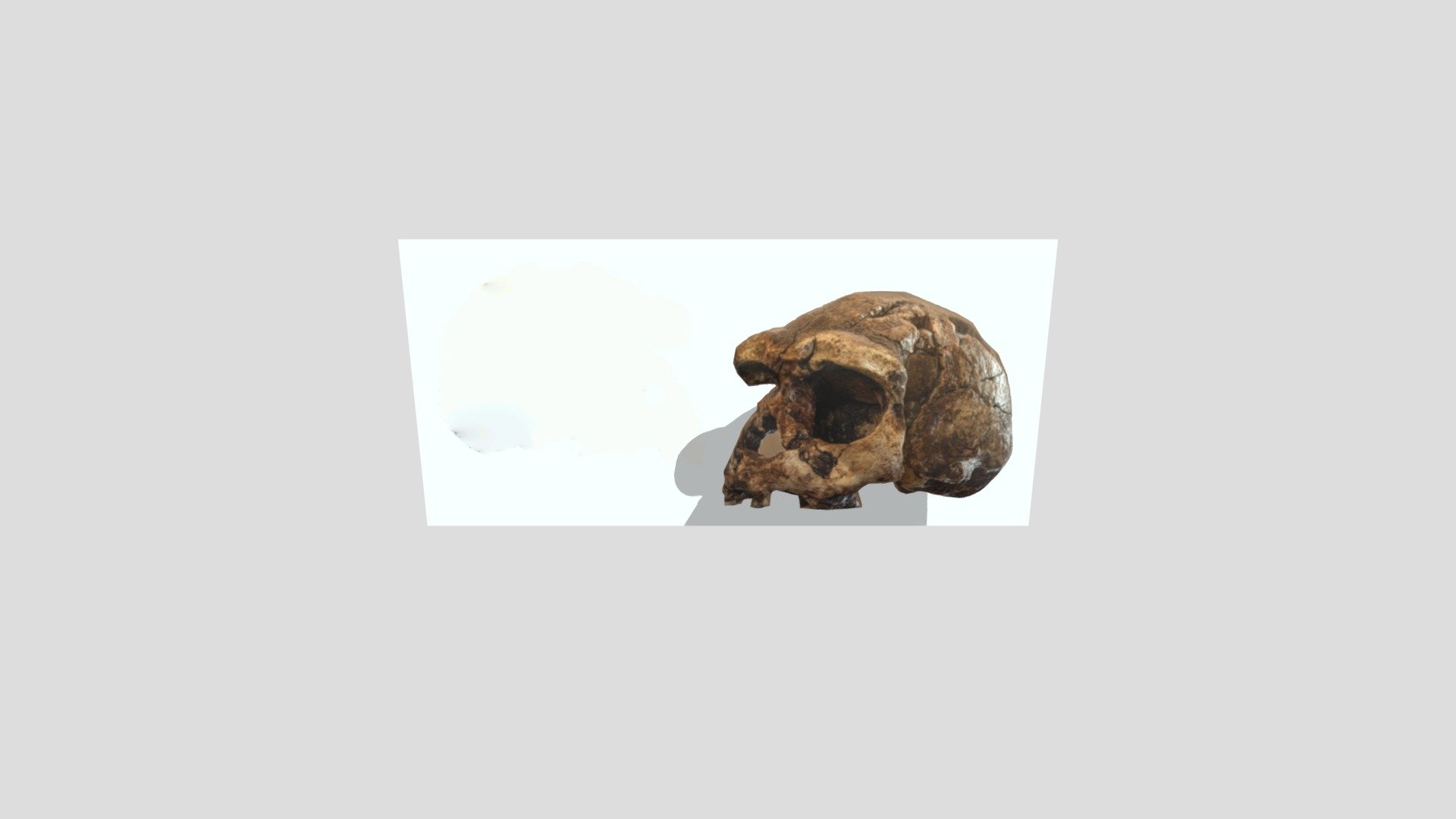 Projek 3 Manusia Purba - 3D model by Nita.YPurwiningsih [b4cd5ea