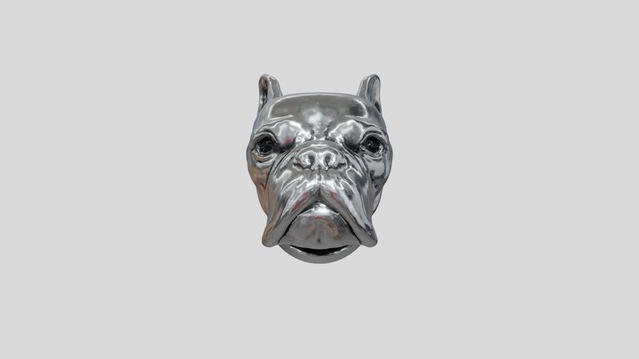 Silver dog bust 3D Model