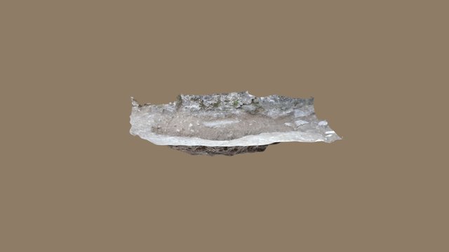 Deviant Burial_1 - Albenga, San Calocero 3D Model