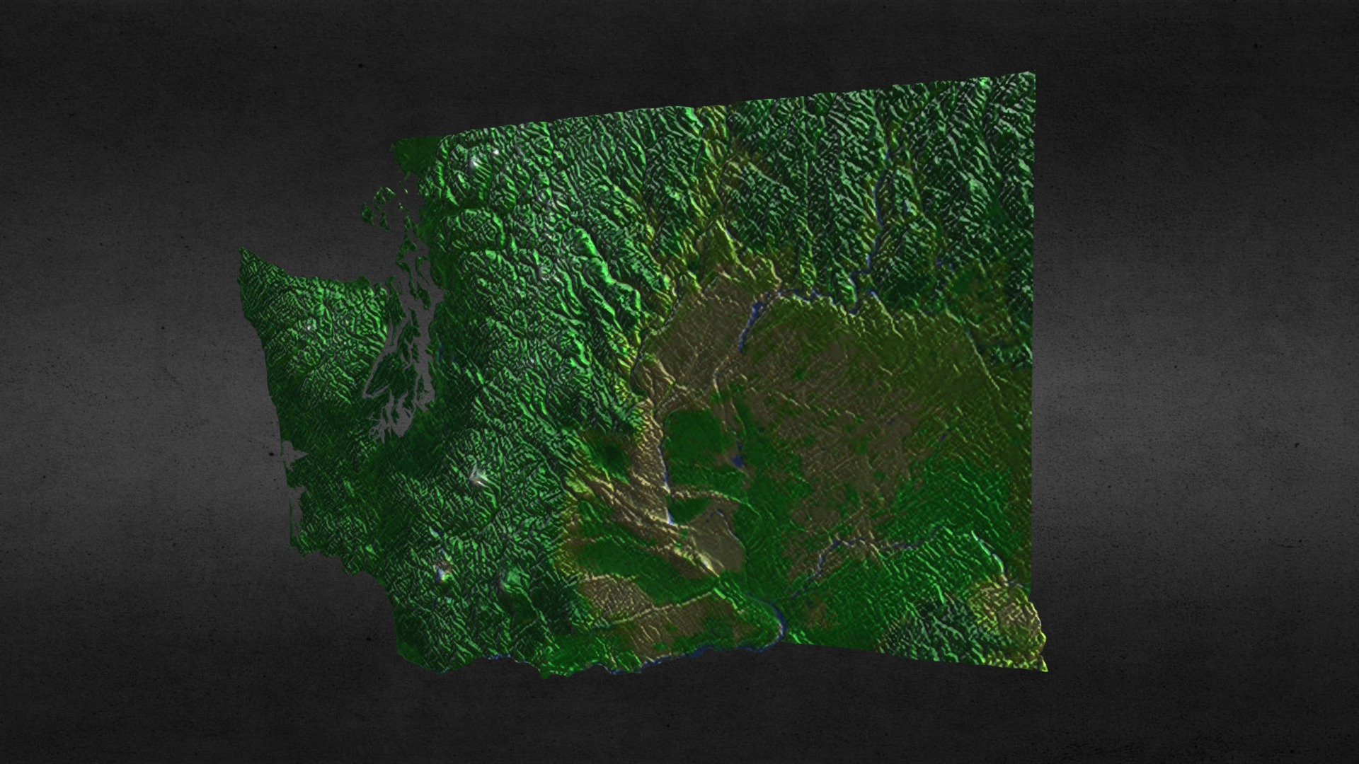 3D model Washington State - This is a 3D model of the Washington State. The 3D model is about a green leaf on a black surface.