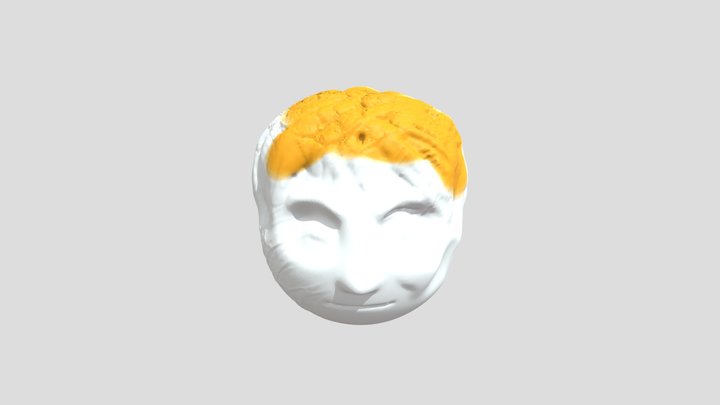 My model 3D Model