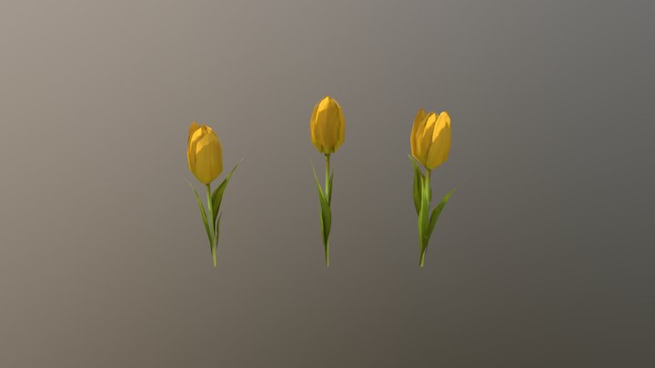 Sketchfab Tulips 3D Model