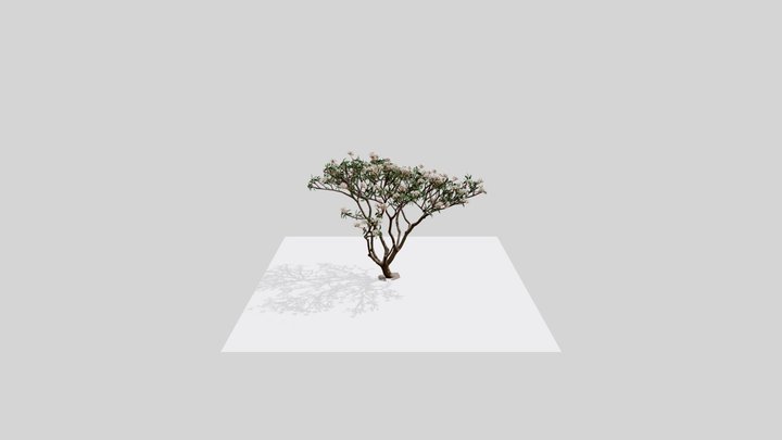 tree attempt 3D Model