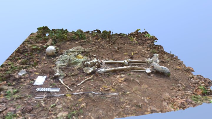 162015 3D Model