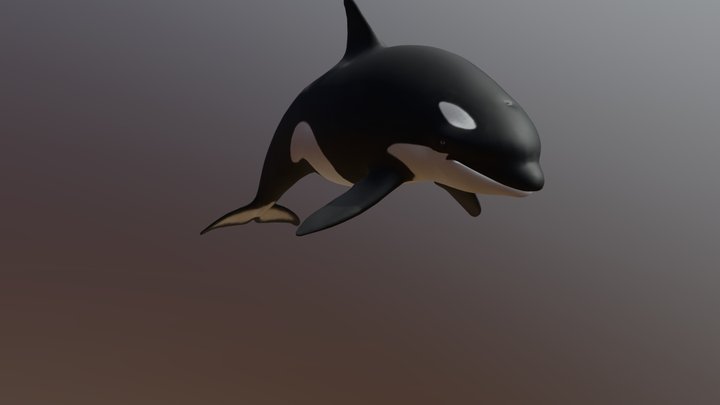 Orca 3D Model