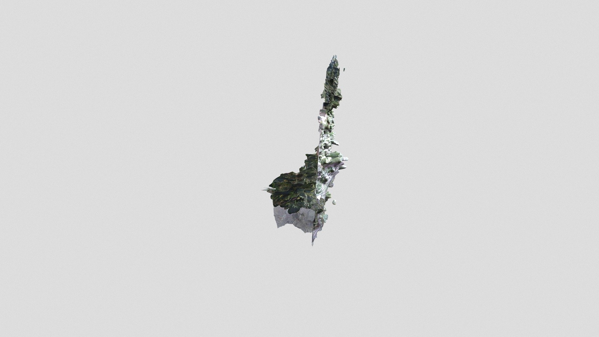 Spider Veins Environment
