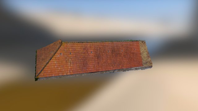 Inspection de toiture par drone 3D Model