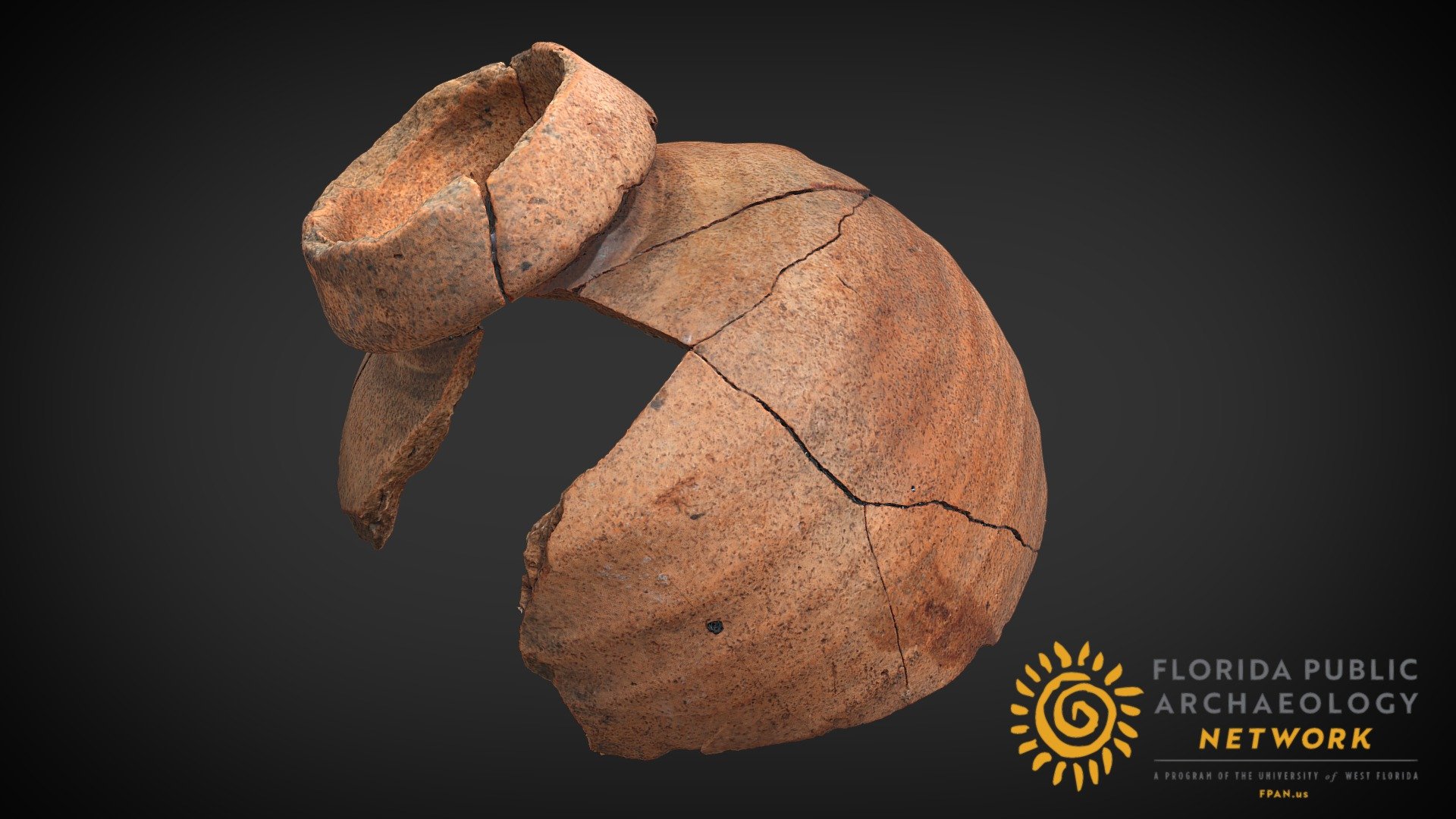 Reconstructed Olive Jar