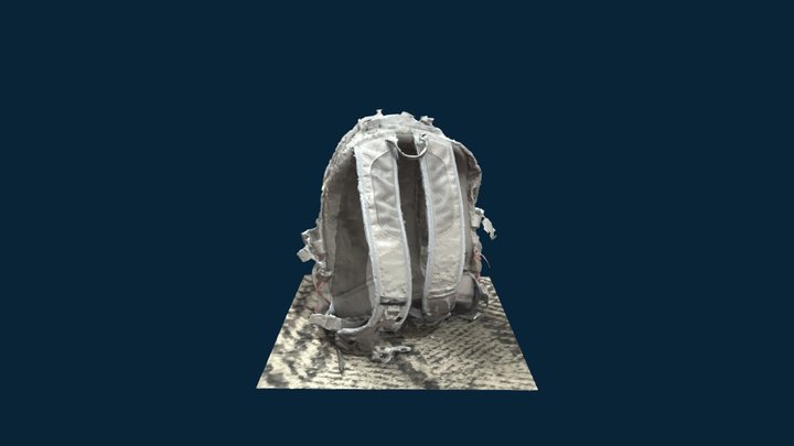 A Bag - Realityscan 3D Model