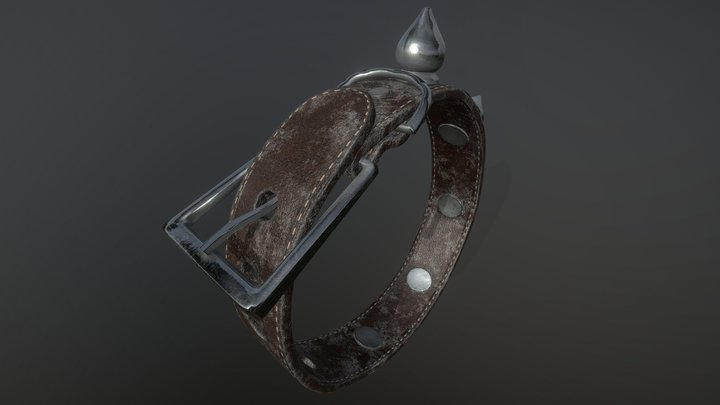 Correa Punk 3D Model