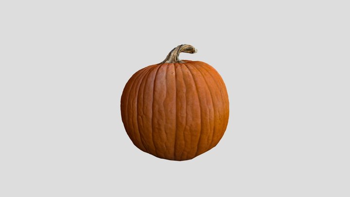 Pumpkin 3D Model