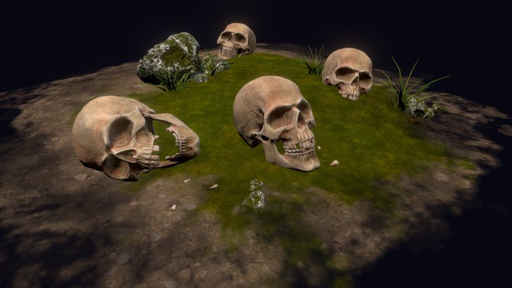 Skull_stage 3D Model