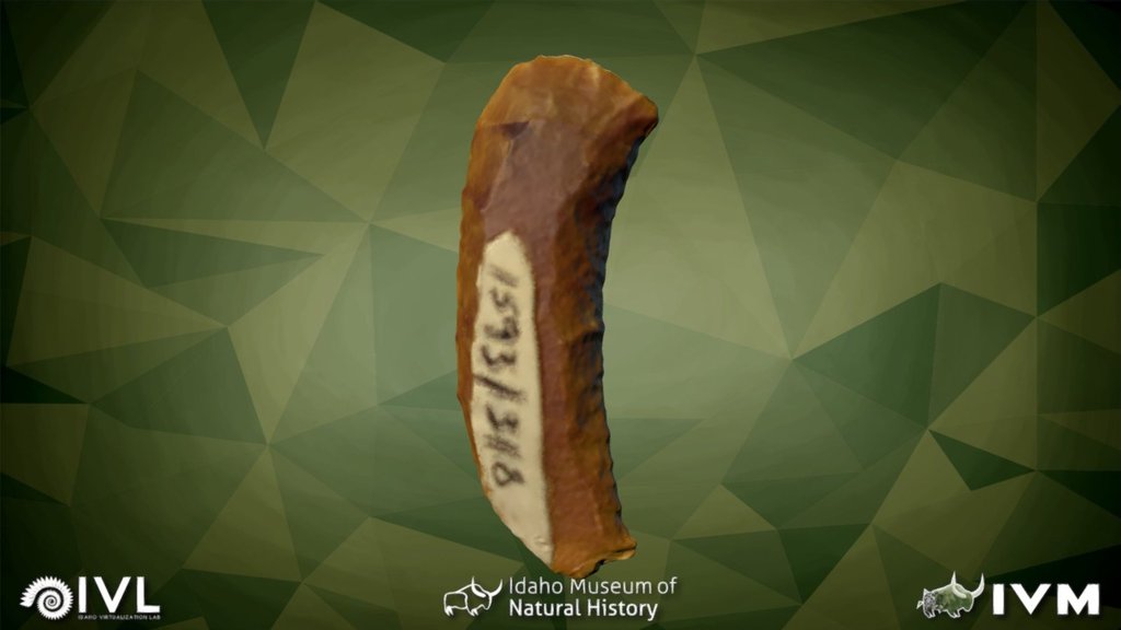 1593-318