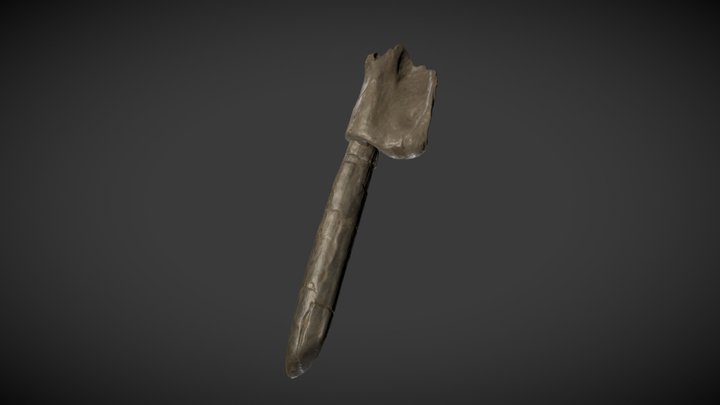Mammuthus Tusk