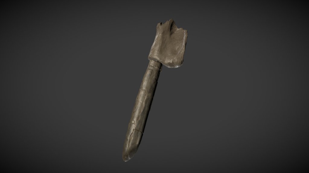Mammuthus Tusk