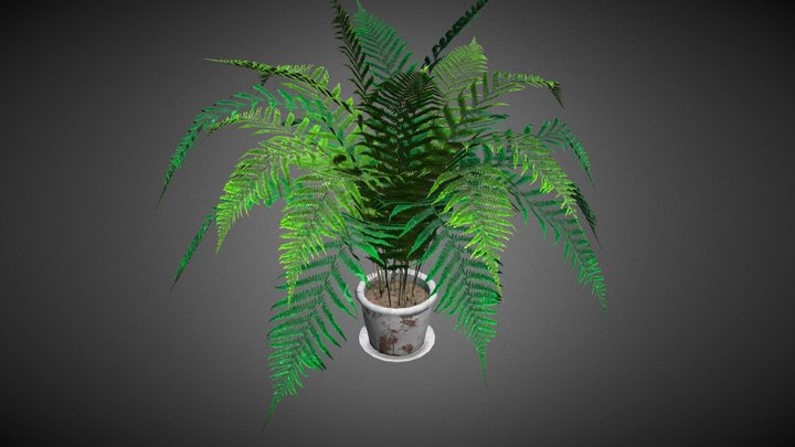 Plant (animated) 3D Model