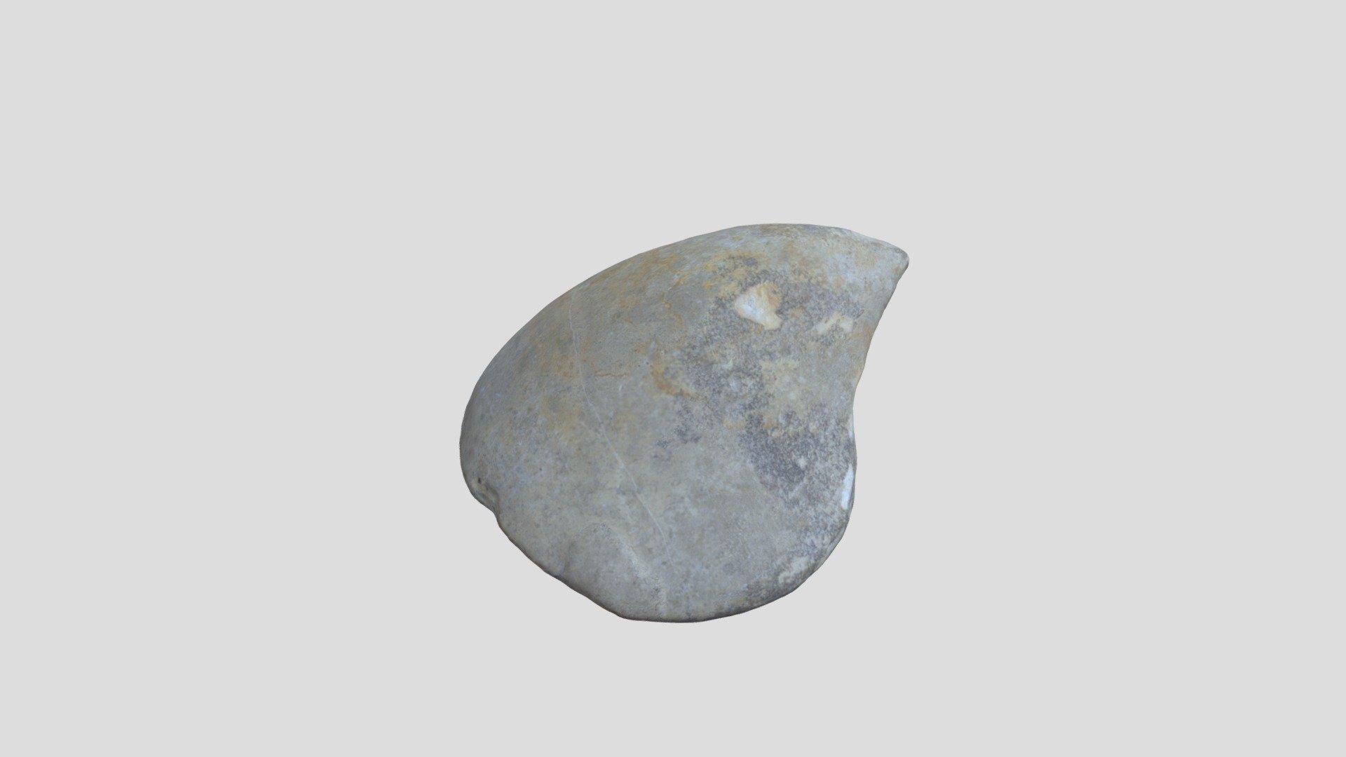 fossil1