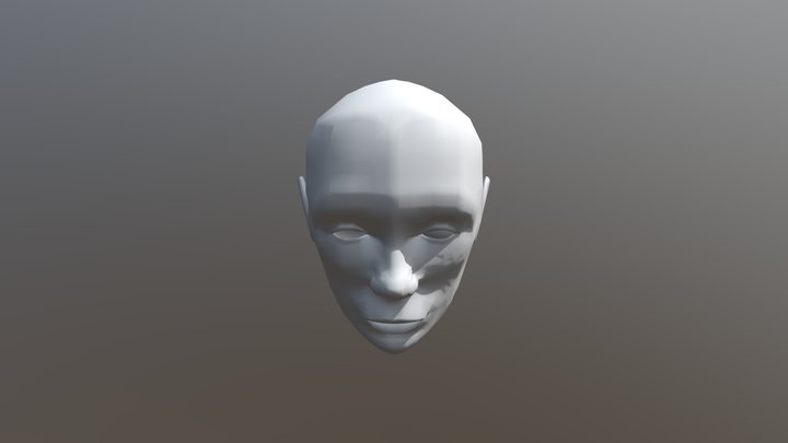 Character Face and Head Model 3D Model