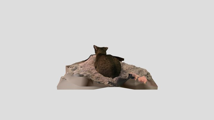 Scan 2022-12-02T19:48:05.118Z 3D Model