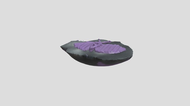 Butterfly by Betsy – Gratis 3D-model STL