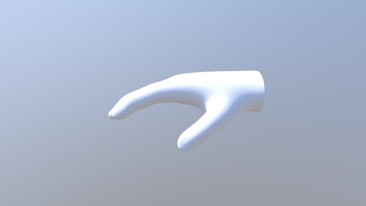 HighPoly Hand 3D Model