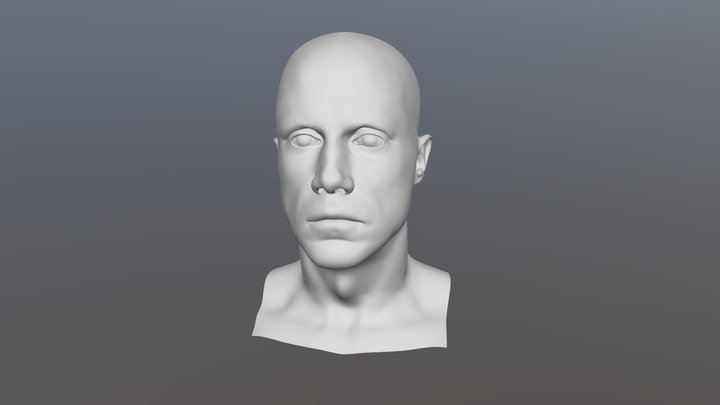 Self Portrait Base Mesh 3D Model