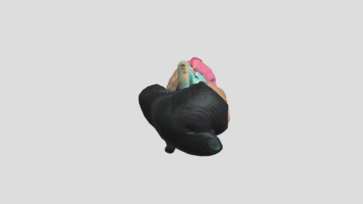 carlota casagrande 3D Model