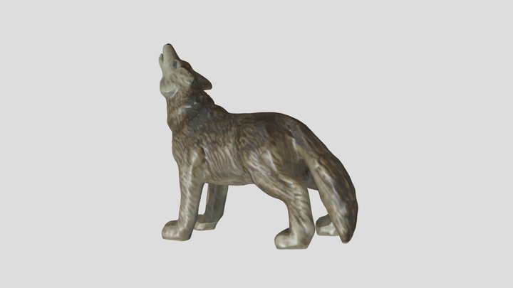 Lupus with textures 3D Model