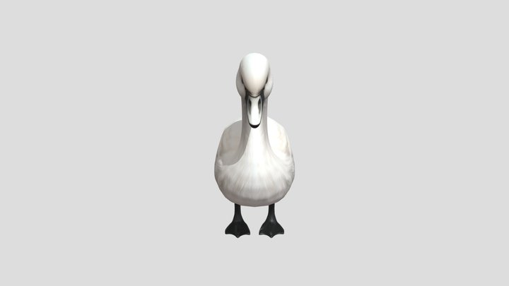 fluffy swan or goose 3D Model