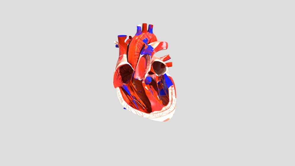 open Beating-heart-3d