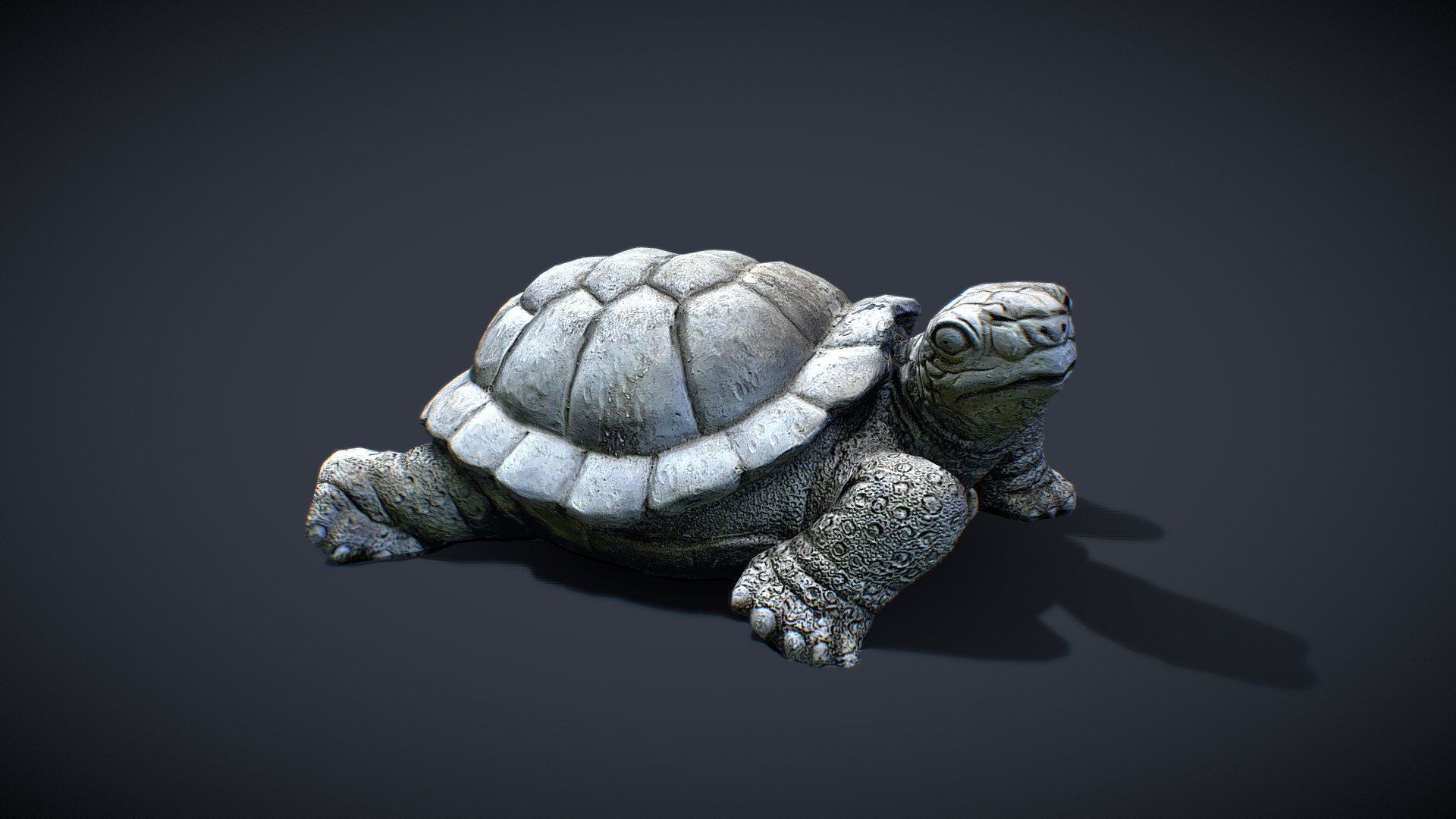 schildkröt - Download Free 3D model by renelambert [b4fa6a5] - Sketchfab