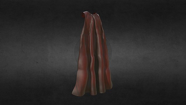 Spartan Cape 3D Model