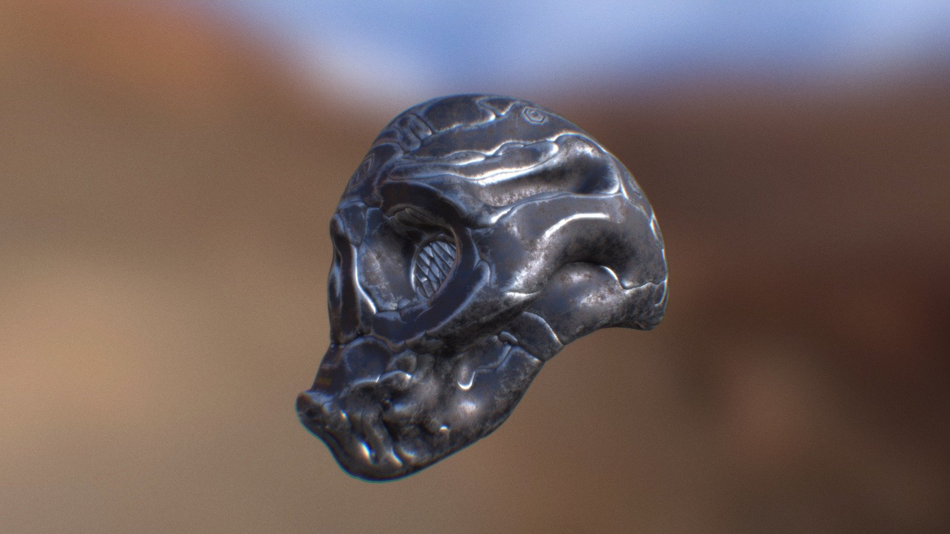 Skull  M